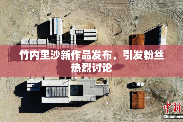 竹内里沙新作品发布，引发粉丝热烈讨论