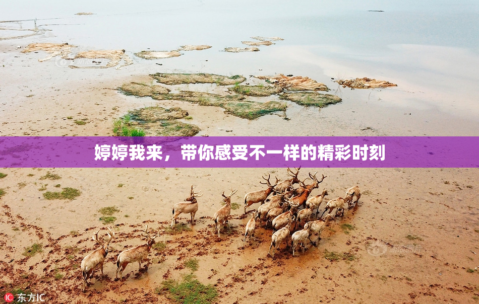 婷婷我来，带你感受不一样的精彩时刻