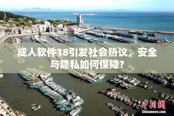 成人软件18引发社会热议，安全与隐私如何保障？