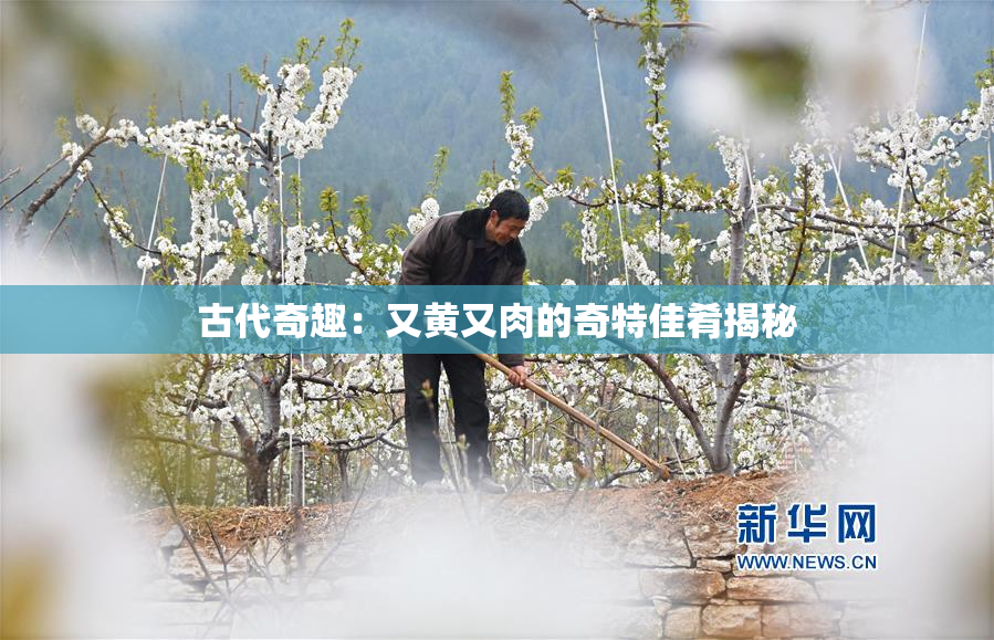 古代奇趣：又黄又肉的奇特佳肴揭秘