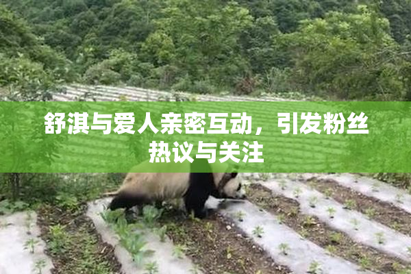 舒淇与爱人亲密互动，引发粉丝热议与关注