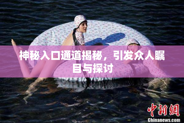 神秘入口通道揭秘，引发众人瞩目与探讨