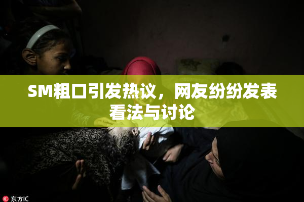 SM粗口引发热议，网友纷纷发表看法与讨论