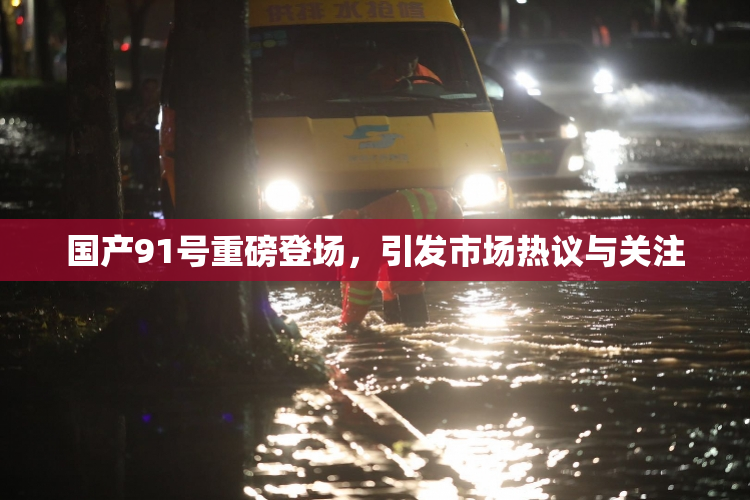 国产91号重磅登场，引发市场热议与关注