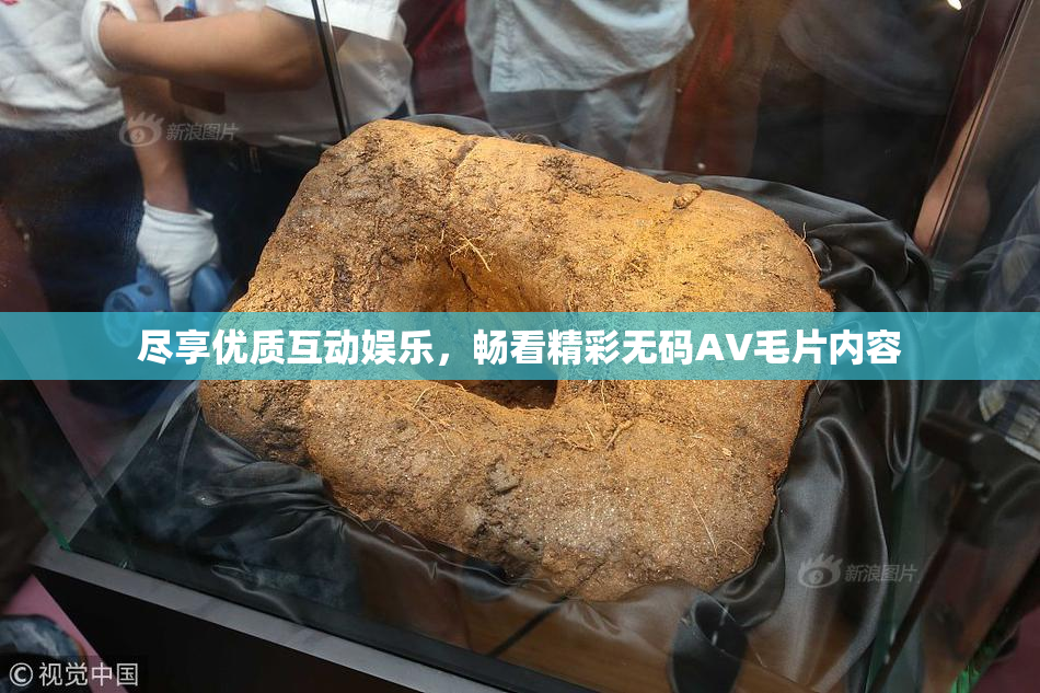 尽享优质互动娱乐，畅看精彩无码AV毛片内容