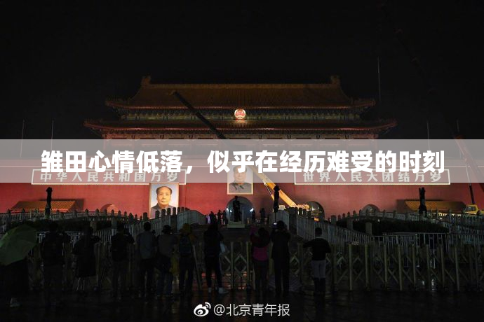 雏田心情低落，似乎在经历难受的时刻