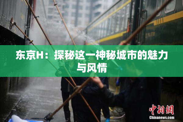 东京H：探秘这一神秘城市的魅力与风情