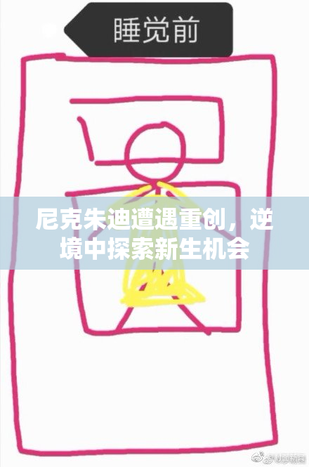 尼克朱迪遭遇重创，逆境中探索新生机会