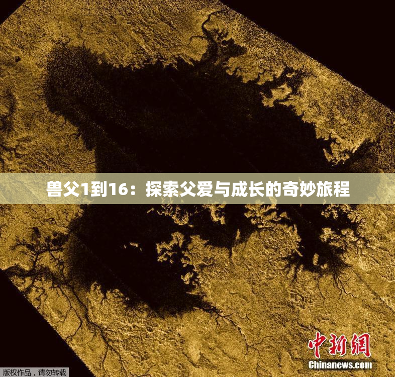 兽父1到16：探索父爱与成长的奇妙旅程