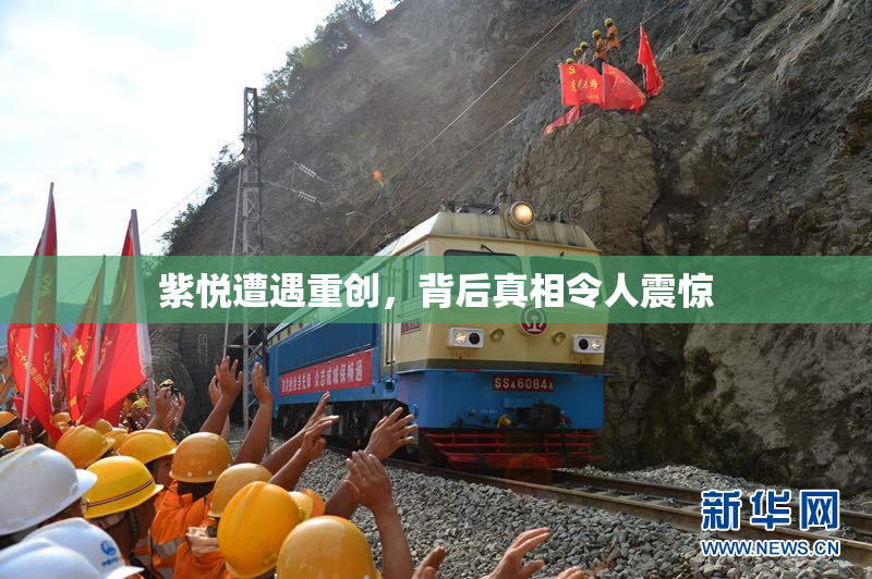 紫悦遭遇重创，背后真相令人震惊