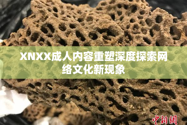 XNXX成人内容重塑深度探索网络文化新现象