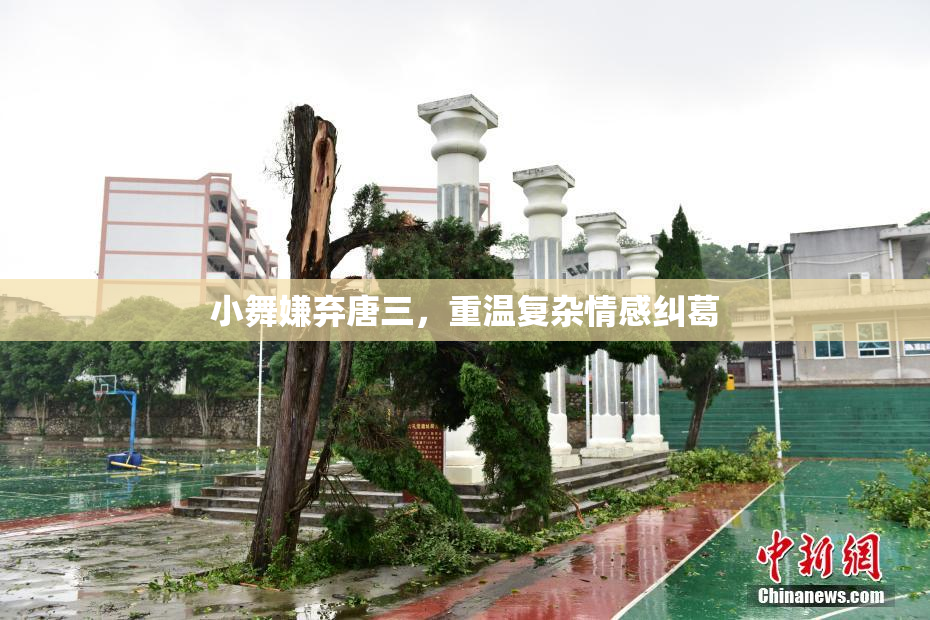 小舞嫌弃唐三，重温复杂情感纠葛