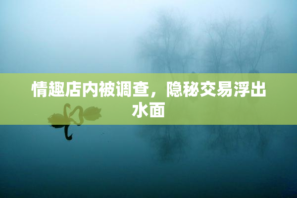 情趣店内被调查，隐秘交易浮出水面