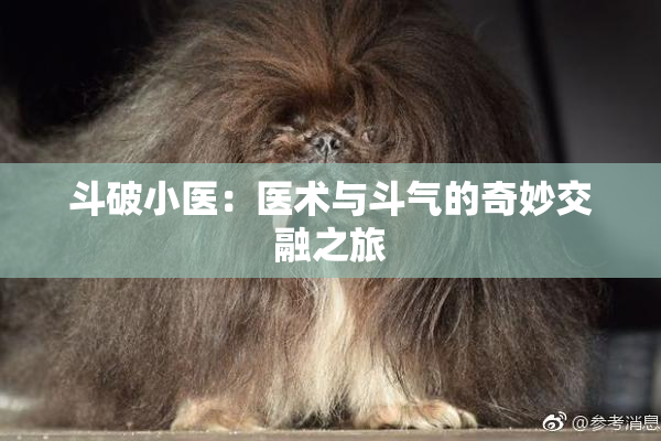 斗破小医：医术与斗气的奇妙交融之旅