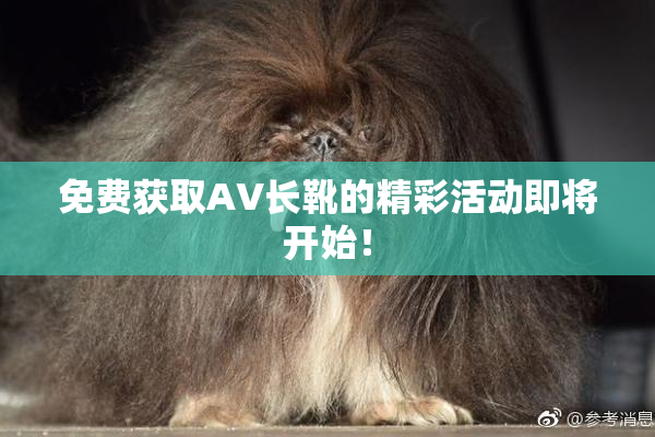 免费获取AV长靴的精彩活动即将开始！