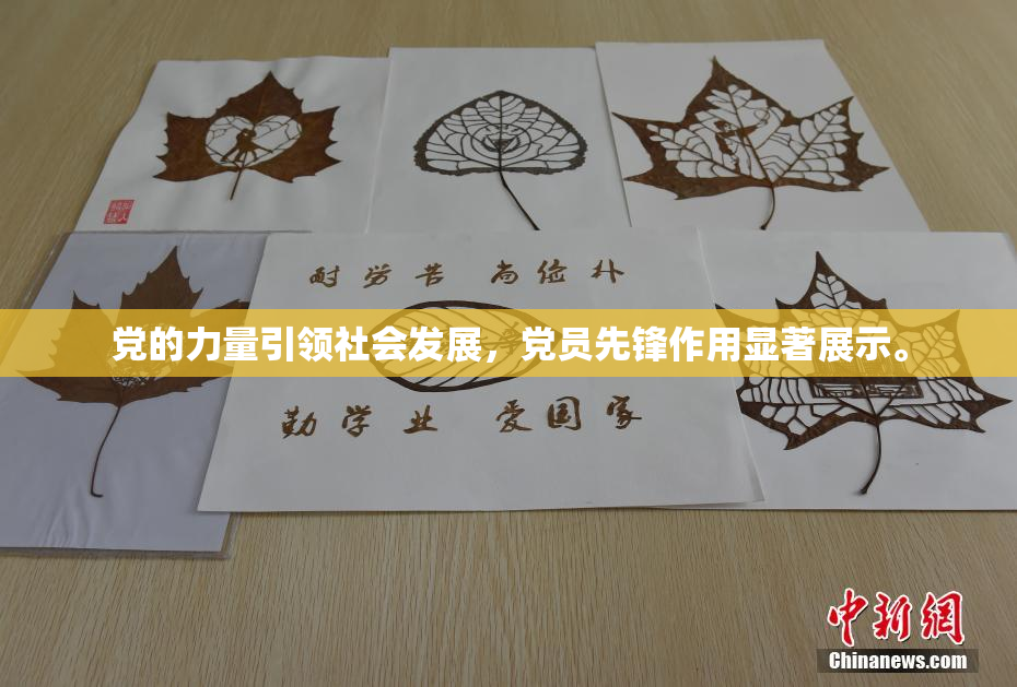 党的力量引领社会发展，党员先锋作用显著展示。