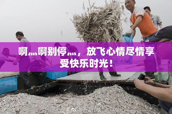 啊灬啊别停灬，放飞心情尽情享受快乐时光！