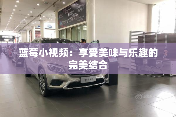 蓝莓小视频：享受美味与乐趣的完美结合