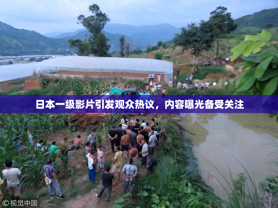 日本一级影片引发观众热议，内容曝光备受关注