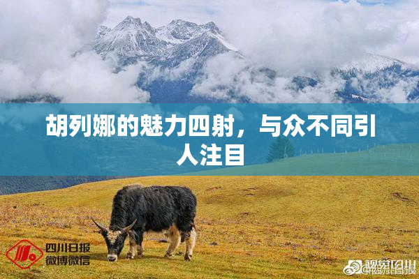 胡列娜的魅力四射，与众不同引人注目
