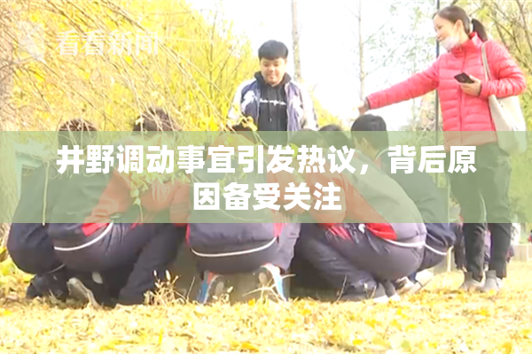 井野调动事宜引发热议，背后原因备受关注