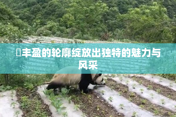 巜丰盈的轮廓绽放出独特的魅力与风采