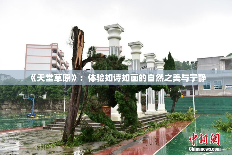 《天堂草原》：体验如诗如画的自然之美与宁静