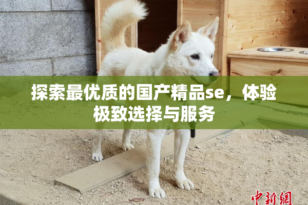 探索最优质的国产精品se，体验极致选择与服务