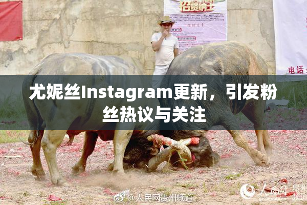 尤妮丝Instagram更新，引发粉丝热议与关注