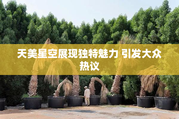 天美星空展现独特魅力 引发大众热议