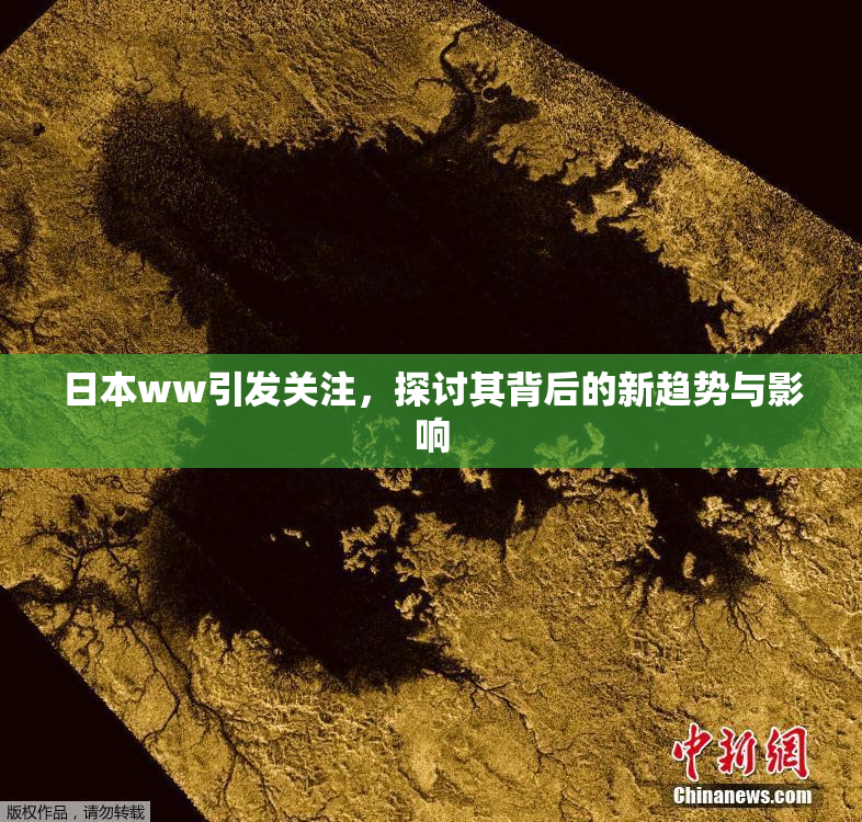 日本ww引发关注，探讨其背后的新趋势与影响