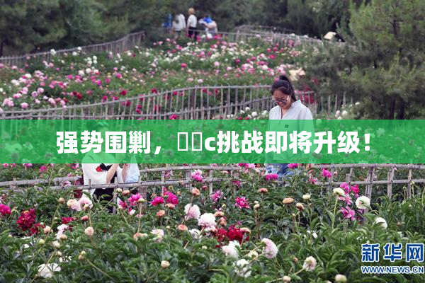 强势围剿，❌‌c挑战即将升级！