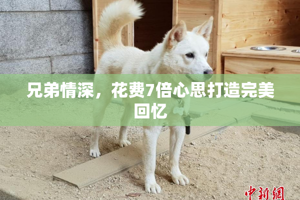 兄弟情深，花费7倍心思打造完美回忆