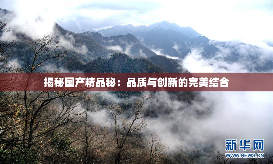揭秘国产精品秘：品质与创新的完美结合