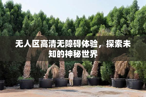 无人区高清无障碍体验，探索未知的神秘世界