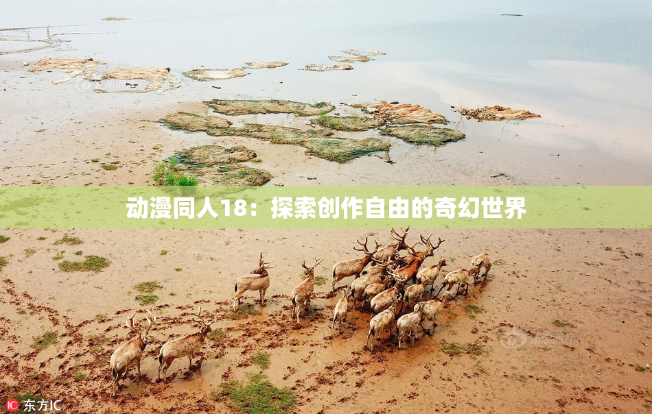动漫同人18：探索创作自由的奇幻世界
