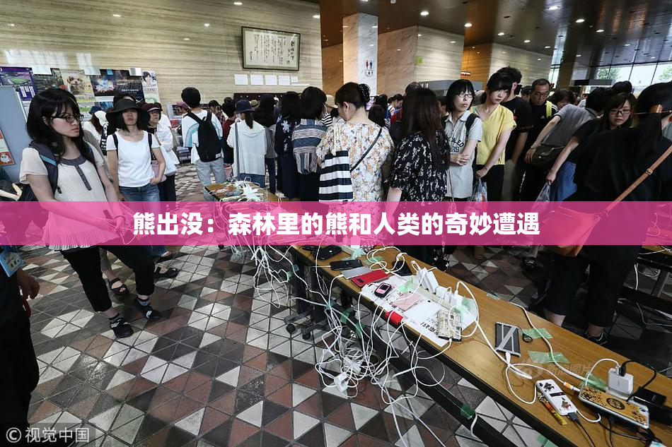 熊出没：森林里的熊和人类的奇妙遭遇