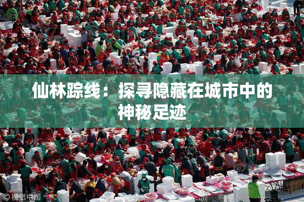 仙林踪线：探寻隐藏在城市中的神秘足迹