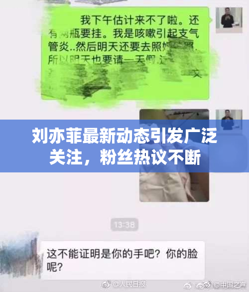 刘亦菲最新动态引发广泛关注，粉丝热议不断