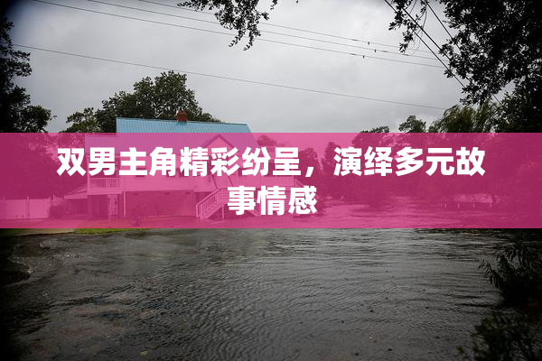 双男主角精彩纷呈，演绎多元故事情感