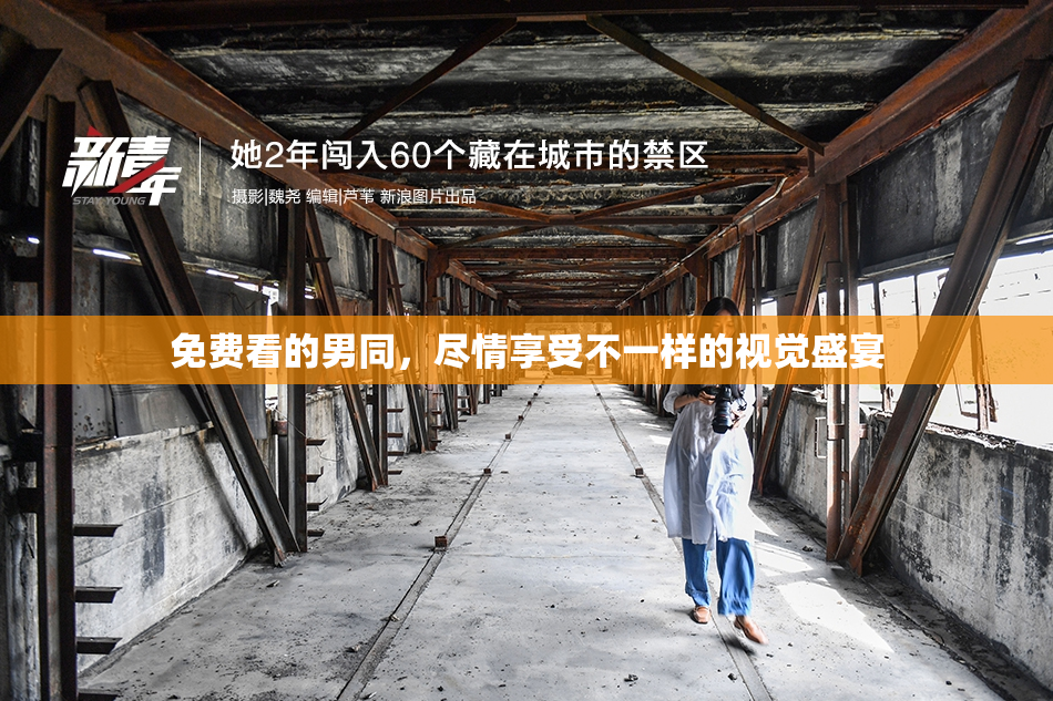 免费看的男同，尽情享受不一样的视觉盛宴