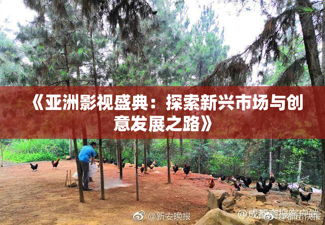 《亚洲影视盛典：探索新兴市场与创意发展之路》
