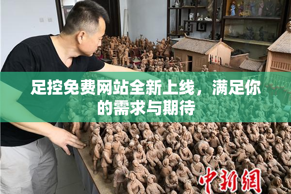 足控免费网站全新上线，满足你的需求与期待