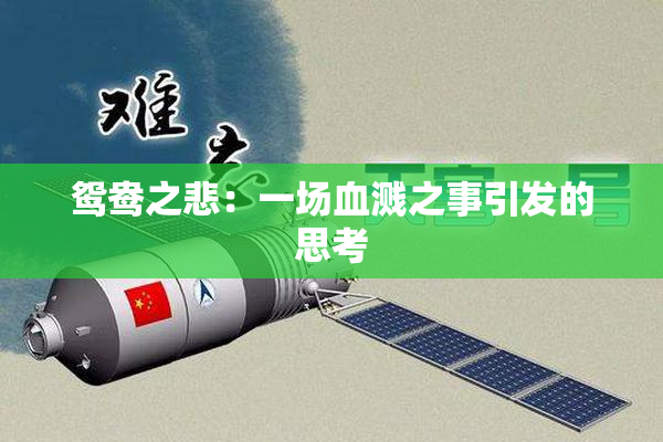 鸳鸯之悲：一场血溅之事引发的思考