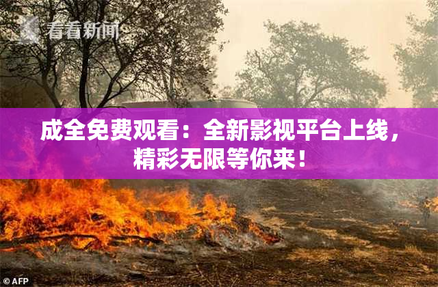 成全免费观看：全新影视平台上线，精彩无限等你来！