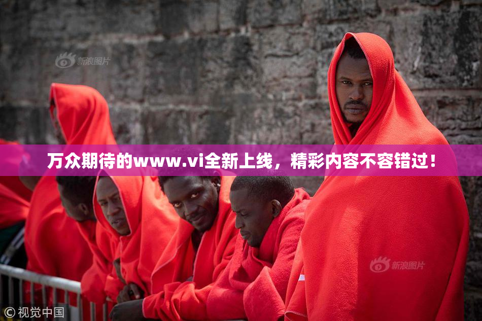 万众期待的www.vi全新上线，精彩内容不容错过！
