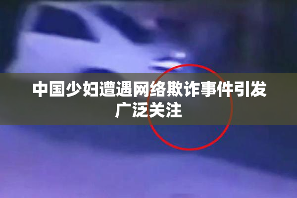 中国少妇遭遇网络欺诈事件引发广泛关注