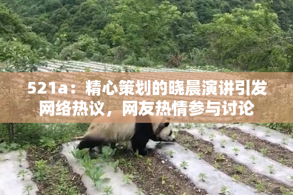 521a：精心策划的晓晨演讲引发网络热议，网友热情参与讨论