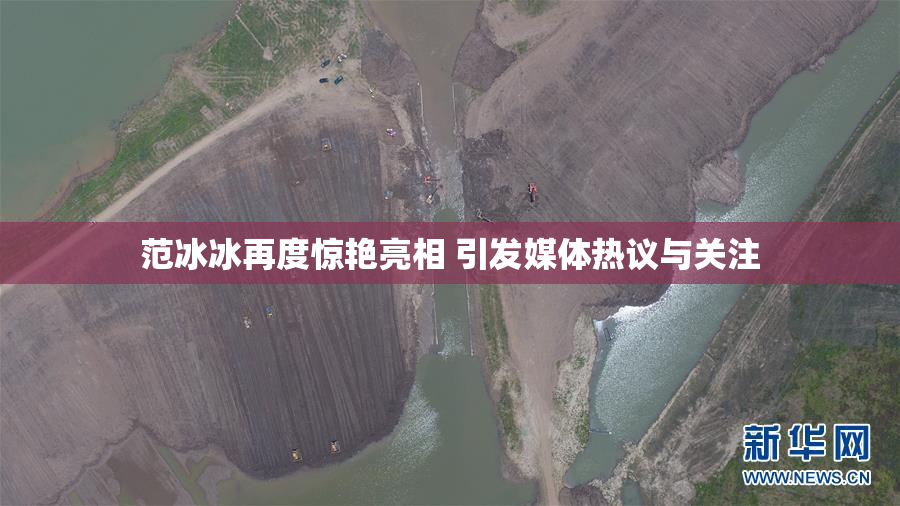 范冰冰再度惊艳亮相 引发媒体热议与关注