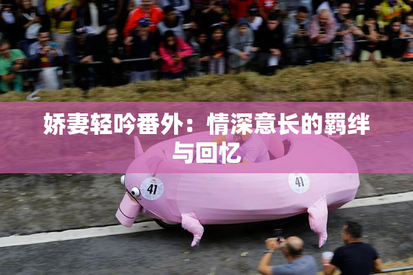 娇妻轻吟番外：情深意长的羁绊与回忆